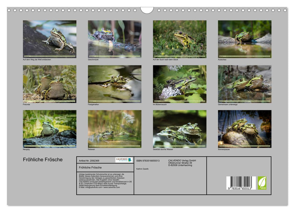Fröhliche Frösche (CALVENDO Wandkalender 2026)