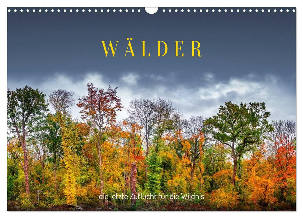 Wälder: die letzte Zuflucht für die Wildnis (CALVENDO Wandkalender 2026)