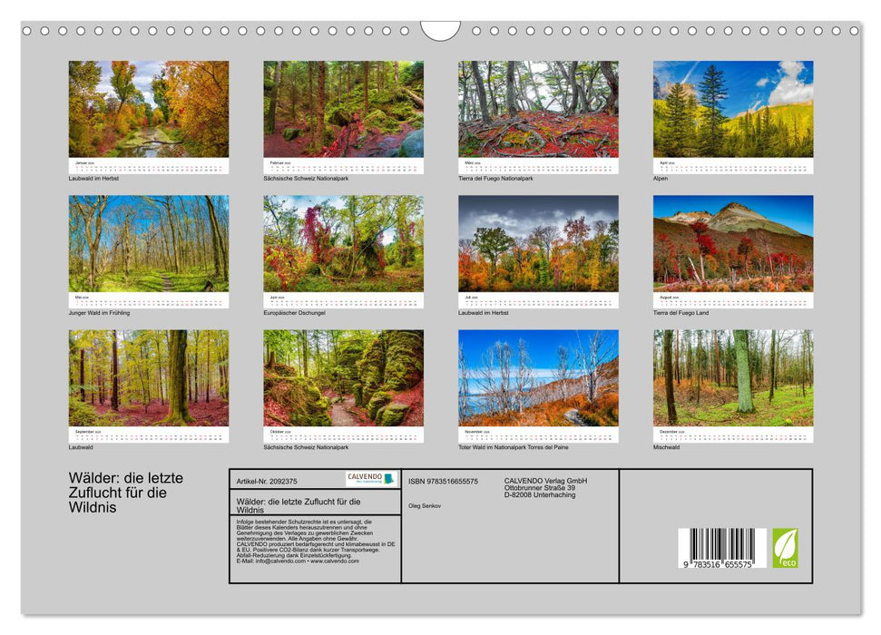Wälder: die letzte Zuflucht für die Wildnis (CALVENDO Wandkalender 2026)