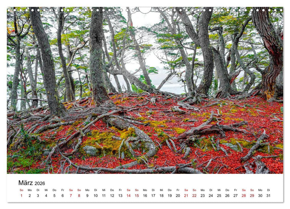 Wälder: die letzte Zuflucht für die Wildnis (CALVENDO Wandkalender 2026)