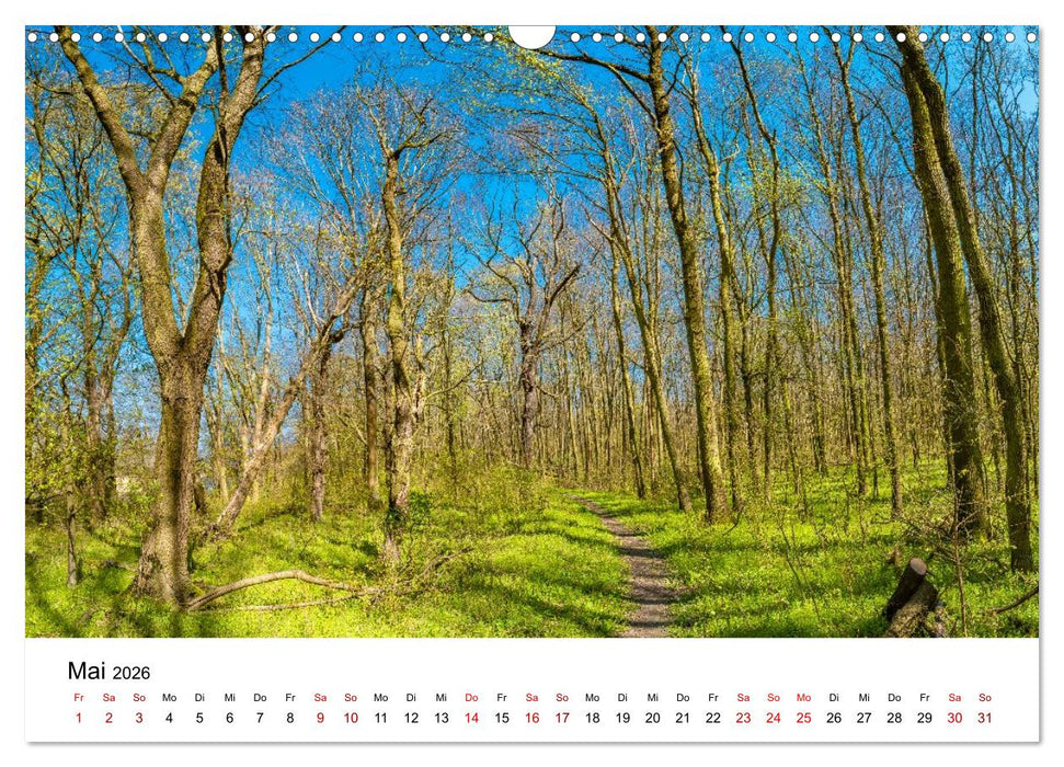 Wälder: die letzte Zuflucht für die Wildnis (CALVENDO Wandkalender 2026)