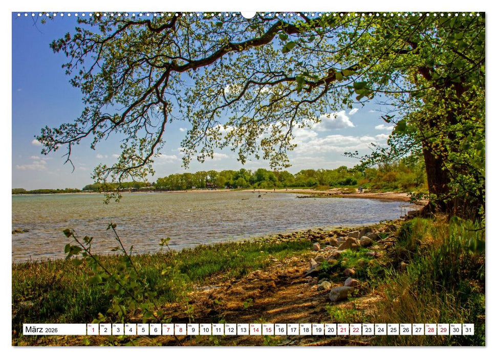 Naturparadies Zierow - Ostsee Idylle pur in der Wismarer Bucht (CALVENDO Wandkalender 2026)
