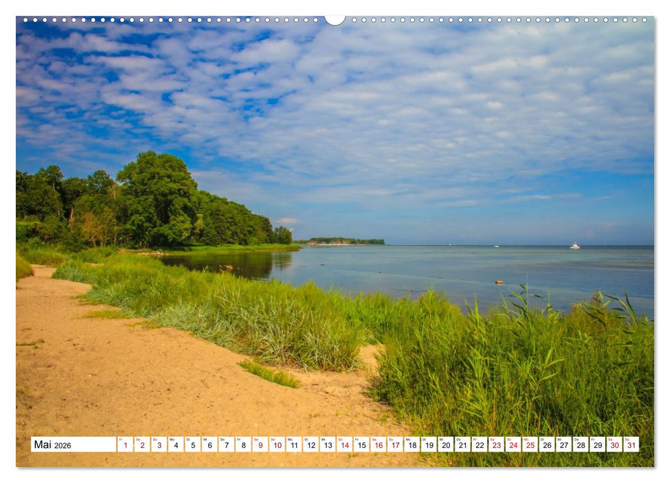 Naturparadies Zierow - Ostsee Idylle pur in der Wismarer Bucht (CALVENDO Wandkalender 2026)