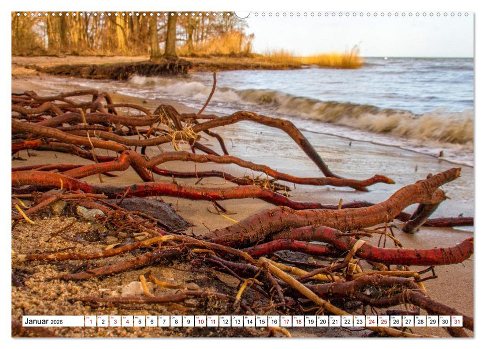 Naturparadies Zierow - Ostsee Idylle pur in der Wismarer Bucht (CALVENDO Premium Wandkalender 2026)