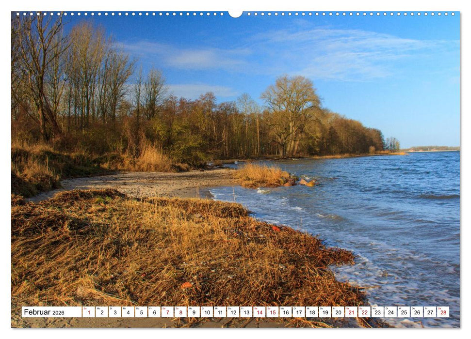 Naturparadies Zierow - Ostsee Idylle pur in der Wismarer Bucht (CALVENDO Premium Wandkalender 2026)