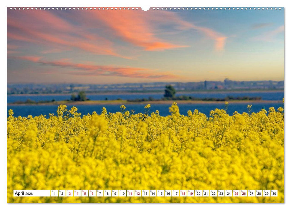 Naturparadies Zierow - Ostsee Idylle pur in der Wismarer Bucht (CALVENDO Premium Wandkalender 2026)