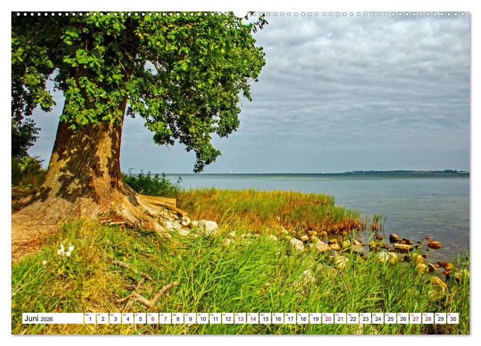 Naturparadies Zierow - Ostsee Idylle pur in der Wismarer Bucht (CALVENDO Premium Wandkalender 2026)