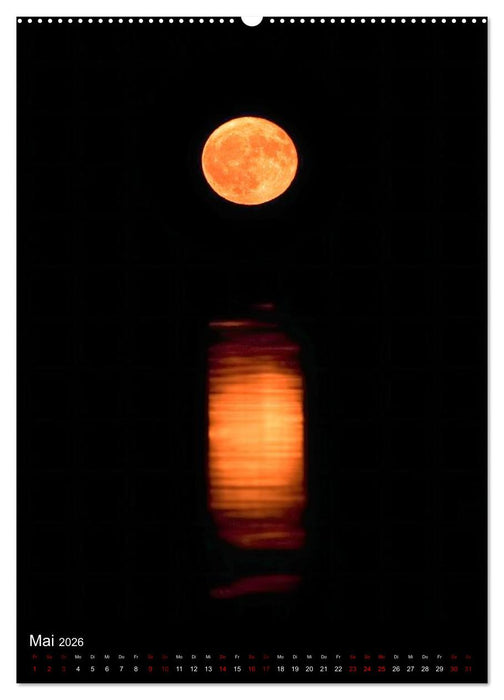 Cottbus und Umgebung für Nachtschwärmer (CALVENDO Wandkalender 2026)