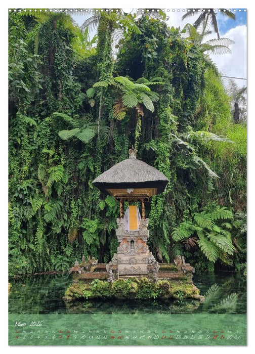 Bali - affengeil (CALVENDO Wandkalender 2026)