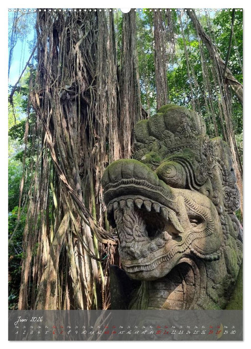 Bali - affengeil (CALVENDO Wandkalender 2026)