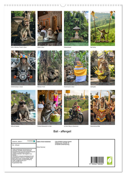 Bali - affengeil (CALVENDO Premium Wandkalender 2026)