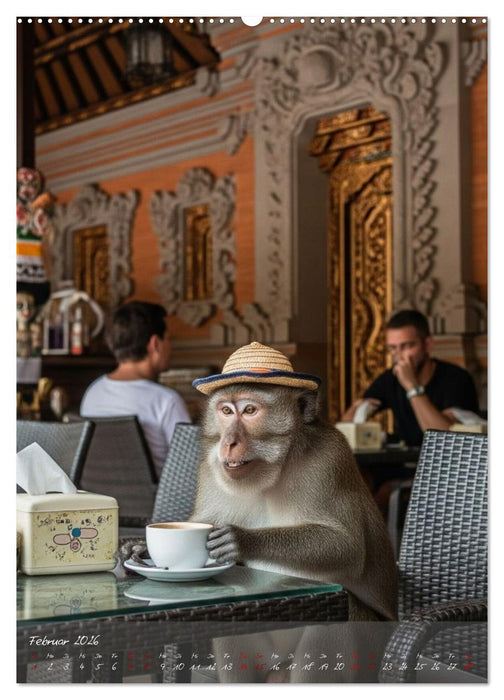 Bali - affengeil (CALVENDO Premium Wandkalender 2026)