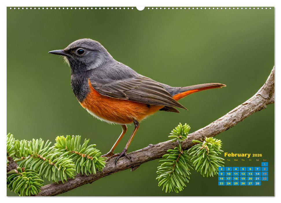 Singers from our regions - Our intimate nature (CALVENDO Premium-Calendar 2026)