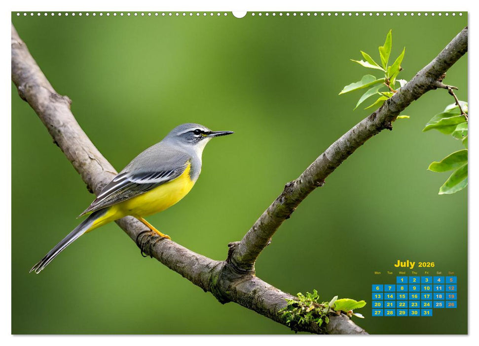 Singers from our regions - Our intimate nature (CALVENDO Premium-Calendar 2026)