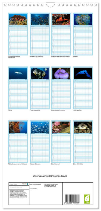 Unterwasserwelt Christmas Island (CALVENDO Familienplaner 2026)