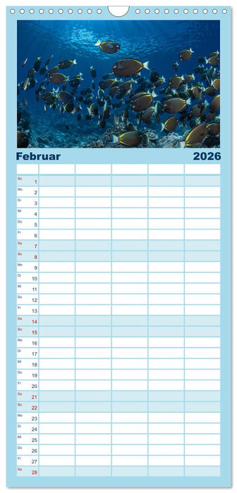 Unterwasserwelt Christmas Island (CALVENDO Familienplaner 2026)