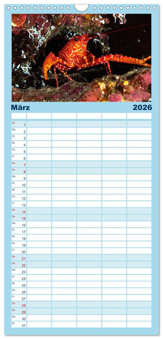 Unterwasserwelt Christmas Island (CALVENDO Familienplaner 2026)