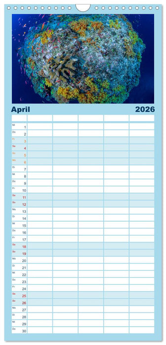 Unterwasserwelt Christmas Island (CALVENDO Familienplaner 2026)