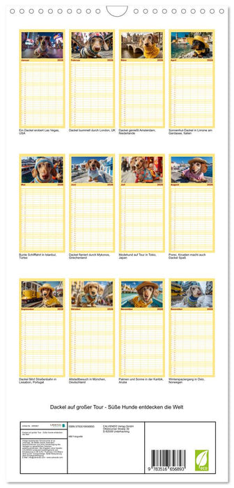 Dackel auf großer Tour - Süße Hunde entdecken die Welt (CALVENDO Familienplaner 2026)