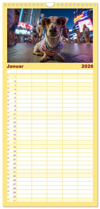 Dackel auf großer Tour - Süße Hunde entdecken die Welt (CALVENDO Familienplaner 2026)