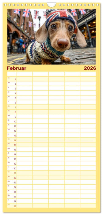 Dackel auf großer Tour - Süße Hunde entdecken die Welt (CALVENDO Familienplaner 2026)