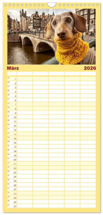 Dackel auf großer Tour - Süße Hunde entdecken die Welt (CALVENDO Familienplaner 2026)