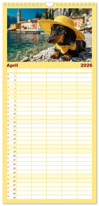 Dackel auf großer Tour - Süße Hunde entdecken die Welt (CALVENDO Familienplaner 2026)