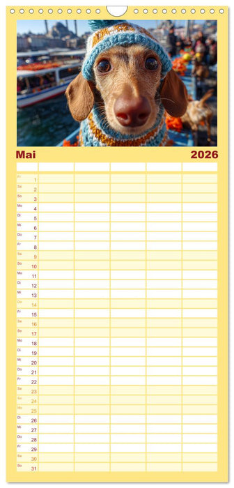 Dackel auf großer Tour - Süße Hunde entdecken die Welt (CALVENDO Familienplaner 2026)