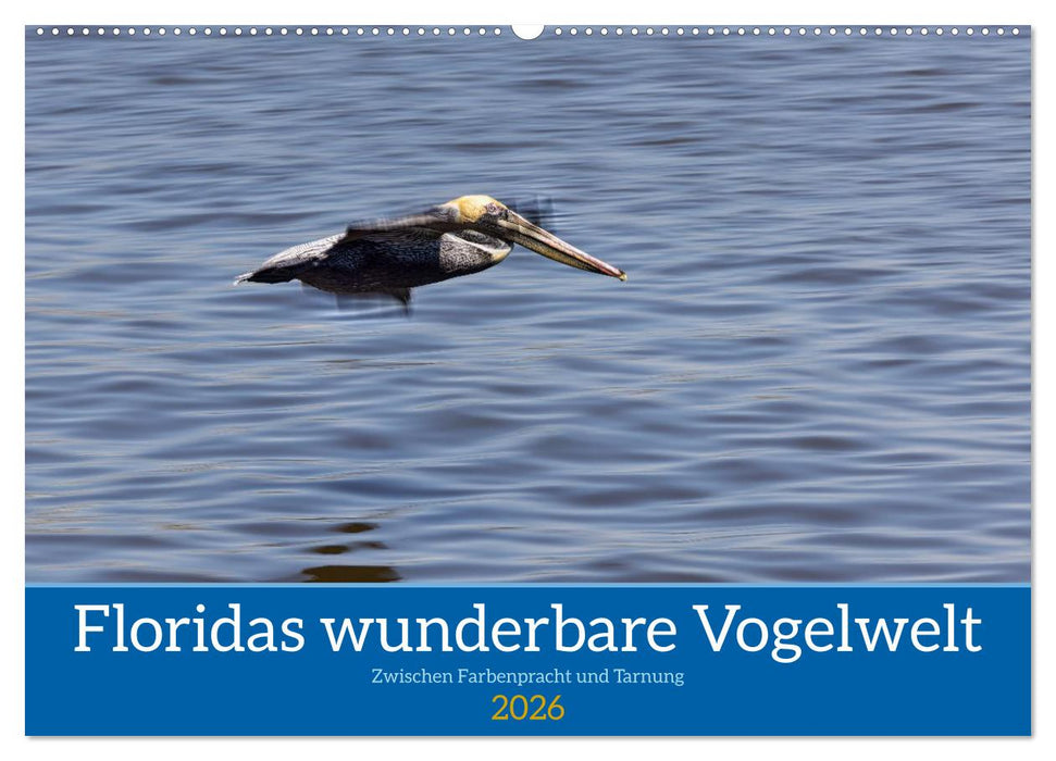 Floridas wunderbare Vogelwelt (CALVENDO Wandkalender 2026)
