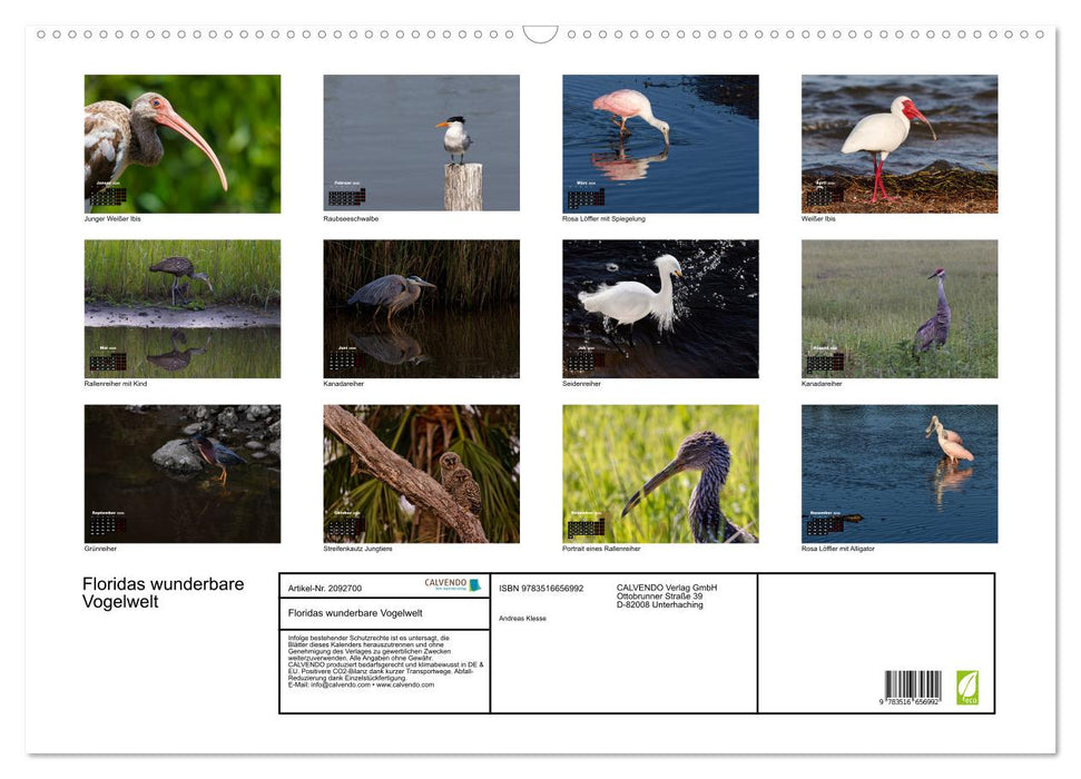 Floridas wunderbare Vogelwelt (CALVENDO Wandkalender 2026)