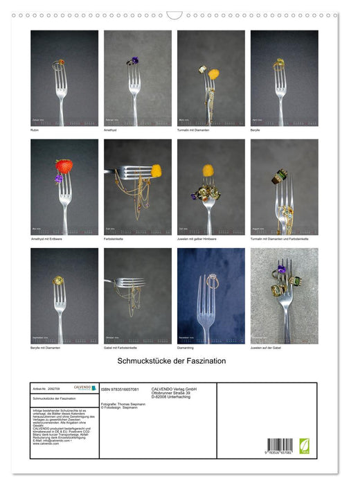 Schmuckstücke der Faszination (CALVENDO Wandkalender 2026)