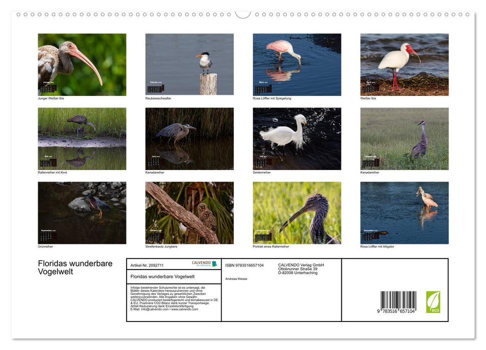 Floridas wunderbare Vogelwelt (CALVENDO Premium Wandkalender 2026)