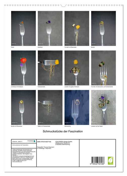 Schmuckstücke der Faszination (CALVENDO Premium Wandkalender 2026)