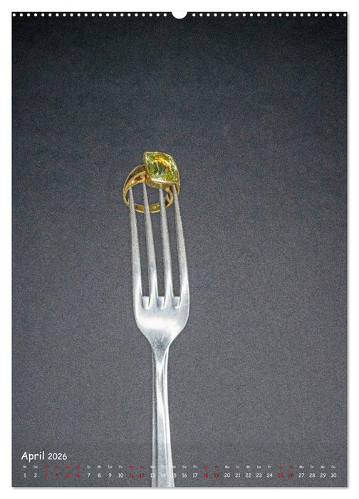 Schmuckstücke der Faszination (CALVENDO Premium Wandkalender 2026)