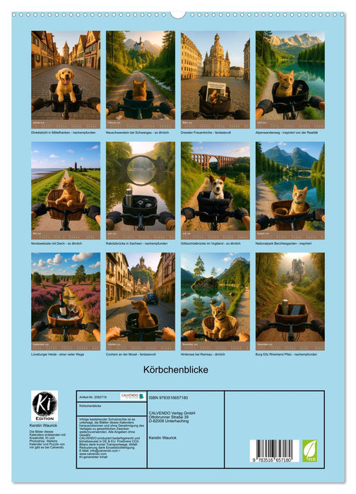 Körbchenblicke (CALVENDO Premium Wandkalender 2026)