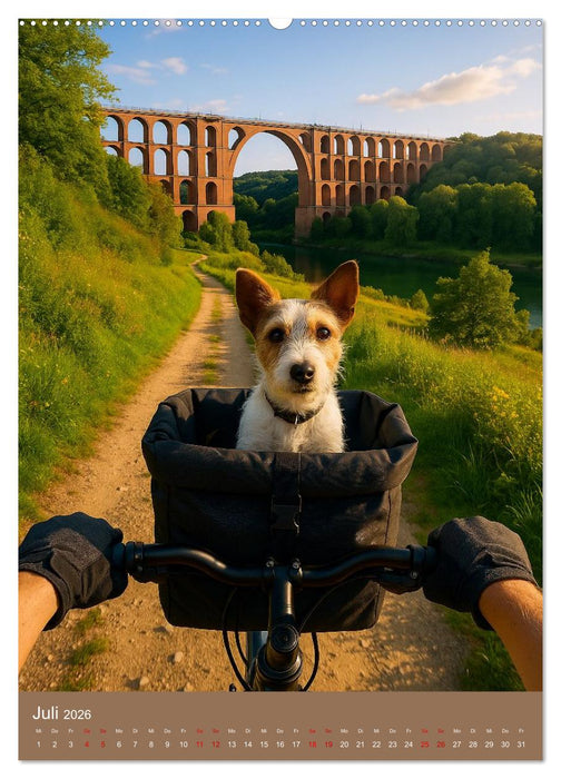 Körbchenblicke (CALVENDO Premium Wandkalender 2026)