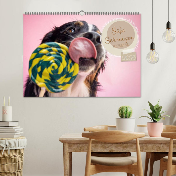 Süße Schnauzen (CALVENDO Wandkalender 2026)