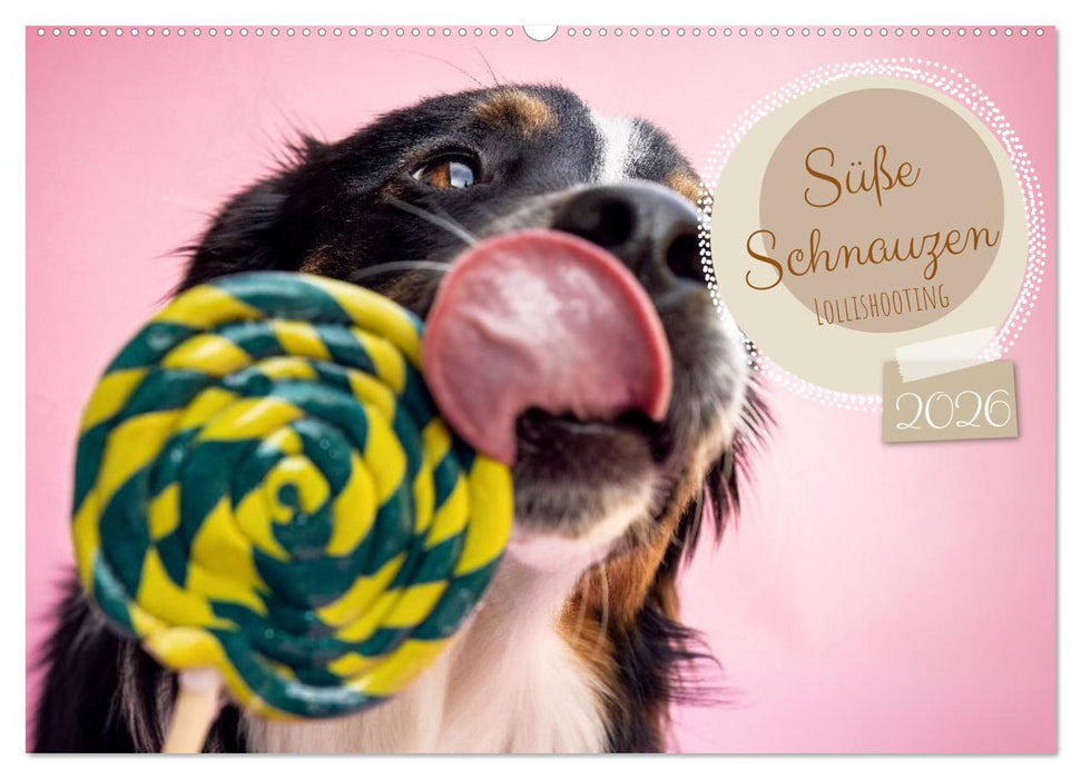 Süße Schnauzen (CALVENDO Wandkalender 2026)