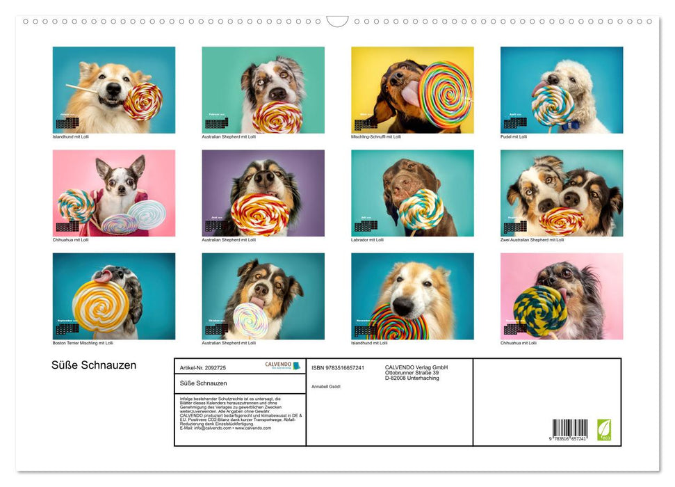 Süße Schnauzen (CALVENDO Wandkalender 2026)