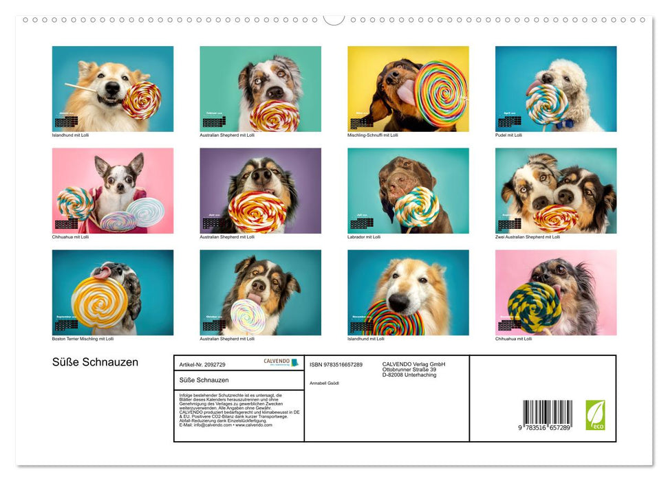 Süße Schnauzen (CALVENDO Premium Wandkalender 2026)
