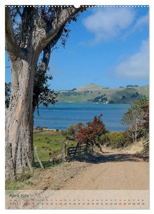 Neuseeland – Unterwegs auf der Südinsel (CALVENDO Wandkalender 2026)