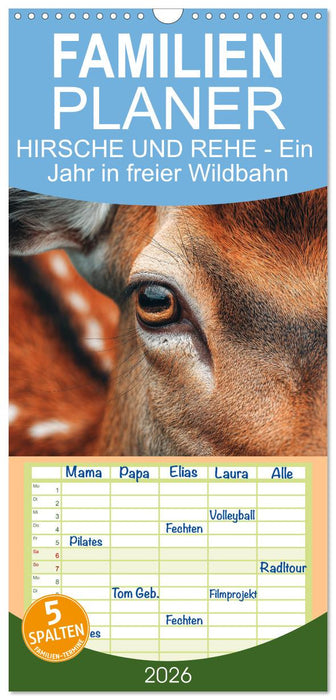 HIRSCHE UND REHE - Ein Jahr in freier Wildbahn (CALVENDO Familienplaner 2026)