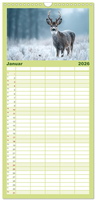 HIRSCHE UND REHE - Ein Jahr in freier Wildbahn (CALVENDO Familienplaner 2026)
