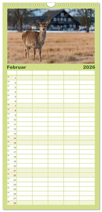HIRSCHE UND REHE - Ein Jahr in freier Wildbahn (CALVENDO Familienplaner 2026)