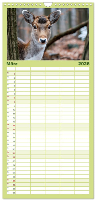 HIRSCHE UND REHE - Ein Jahr in freier Wildbahn (CALVENDO Familienplaner 2026)