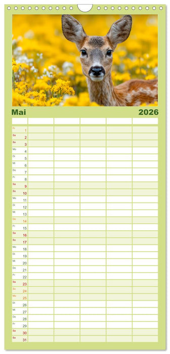 HIRSCHE UND REHE - Ein Jahr in freier Wildbahn (CALVENDO Familienplaner 2026)