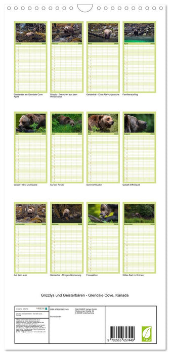 Grizzlys und Geisterbären - Glendale Cove, Kanada (CALVENDO Familienplaner 2026)