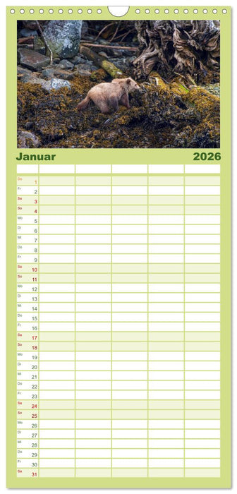 Grizzlys und Geisterbären - Glendale Cove, Kanada (CALVENDO Familienplaner 2026)