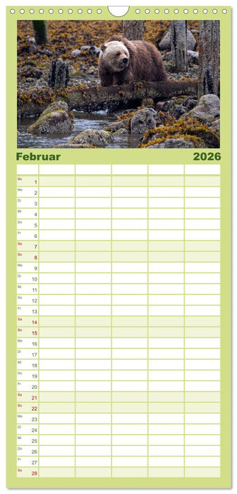 Grizzlys und Geisterbären - Glendale Cove, Kanada (CALVENDO Familienplaner 2026)