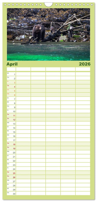 Grizzlys und Geisterbären - Glendale Cove, Kanada (CALVENDO Familienplaner 2026)
